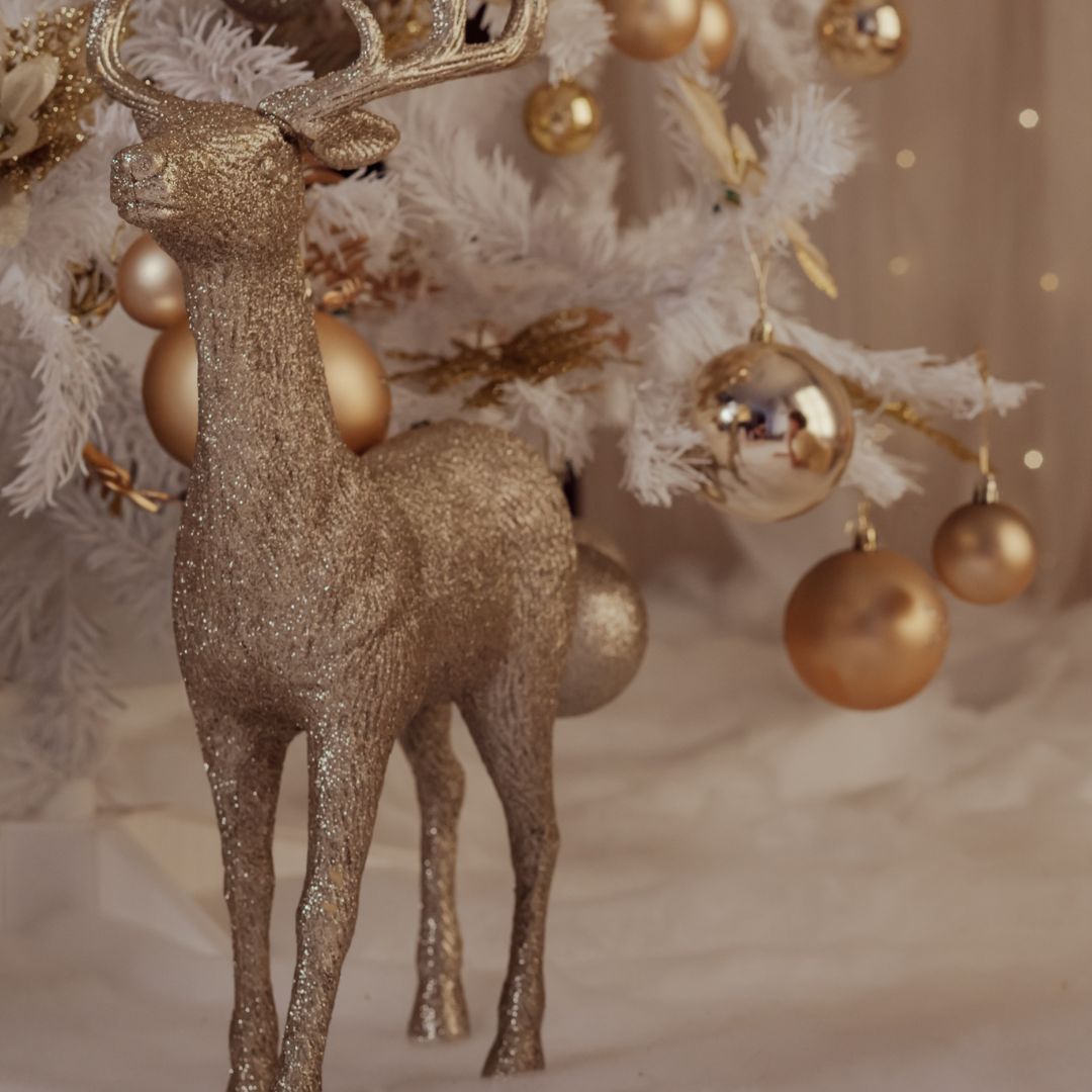 Fotografía navidad Vitoria Gasteiz Fotografía navidad Vitoria Gasteiz